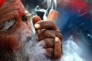 nepal’s-gandaki-province-legalizes-medical-cannabis-farming-and-use