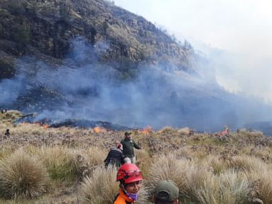 fire-burns-60-hectares-in-indonesia’s-mount-bromo-national-park