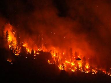 climate-change-contributed-to-canada-fires,-study-says-as-trump-blames-mismanagement