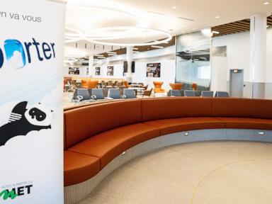 porter-airlines-flight-in-canada-canceled-after-child-refuses-to-sit-down